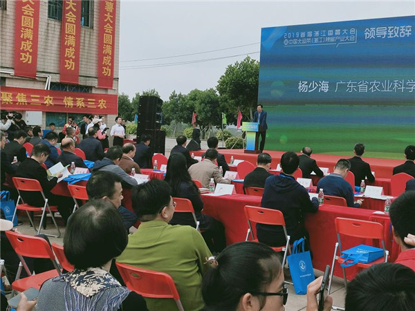 图片说明