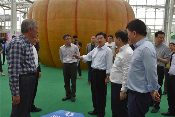 图片说明