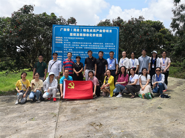 图片说明