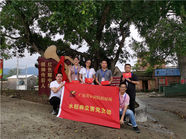 图片说明