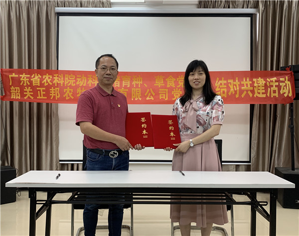 图片说明
