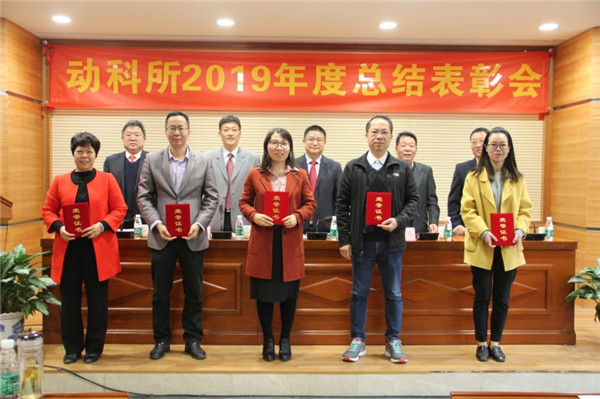 图片说明