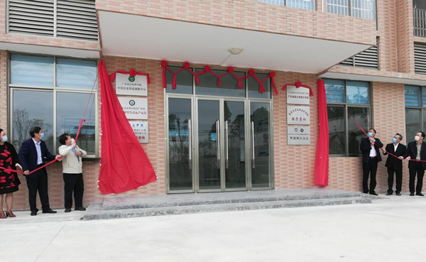 图片说明