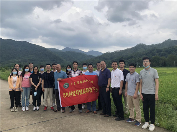 图片说明