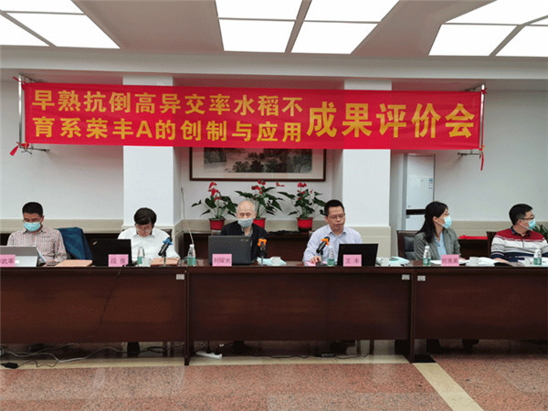 图片说明