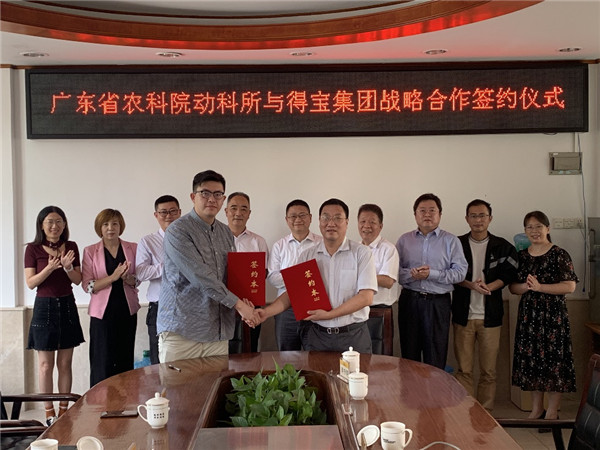 图片说明