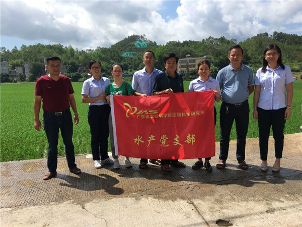 图片说明