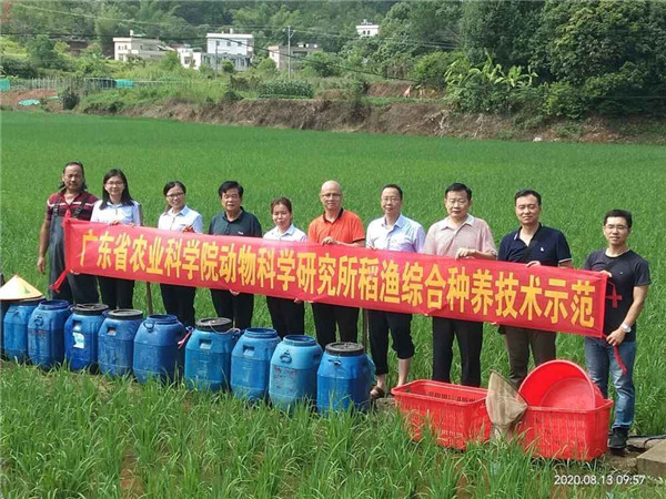 图片说明