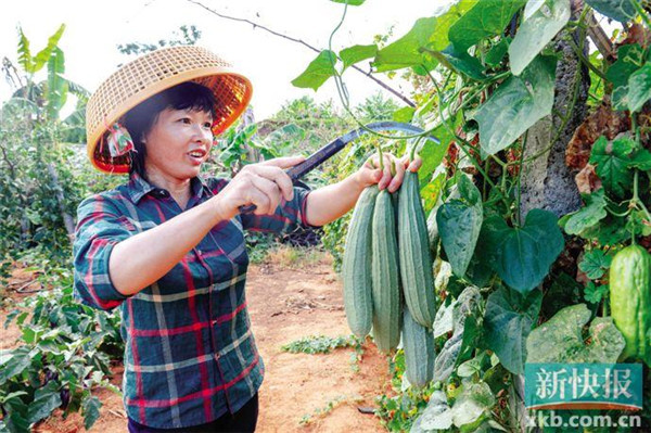 图片说明
