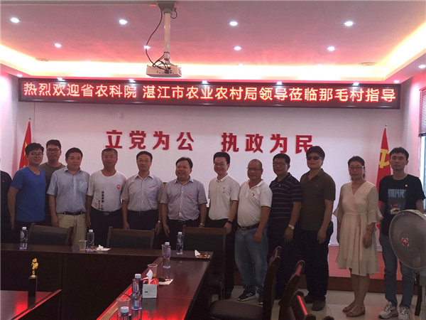 图片说明