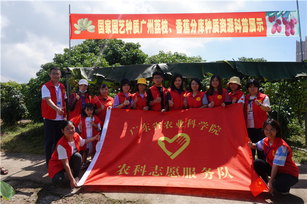 图片说明