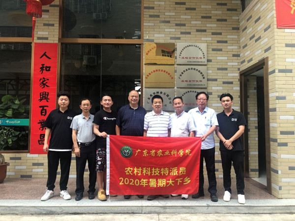 图片说明
