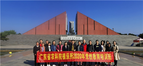 图片说明