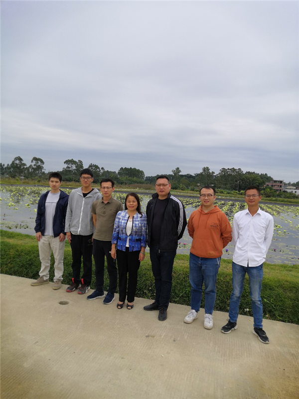 图片说明