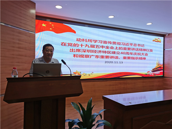 图片说明