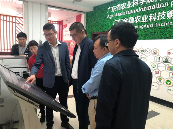 图片说明