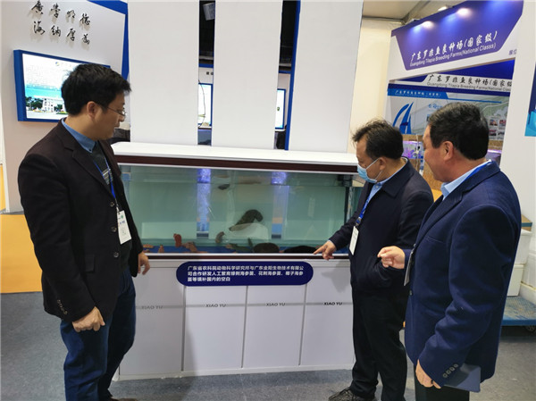 图片说明
