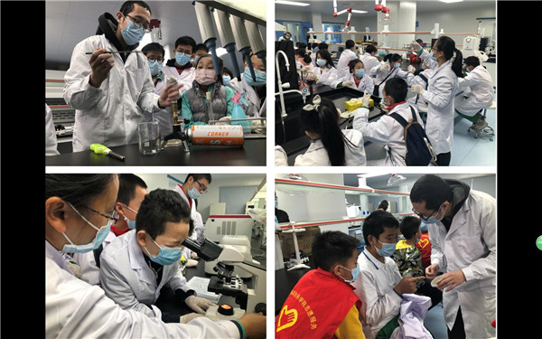 图片说明