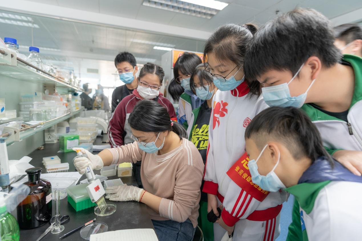图片说明