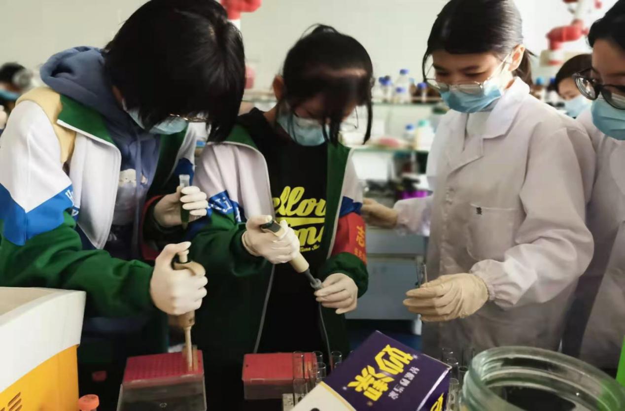 图片说明