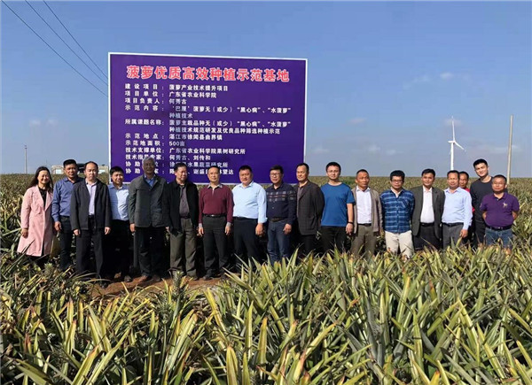图片说明