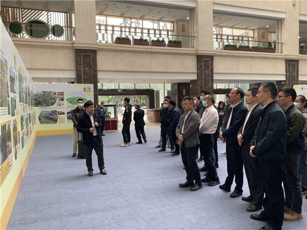 图片说明