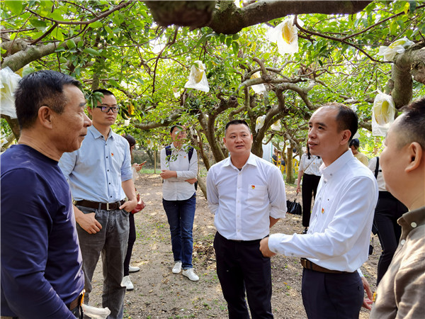 图片说明