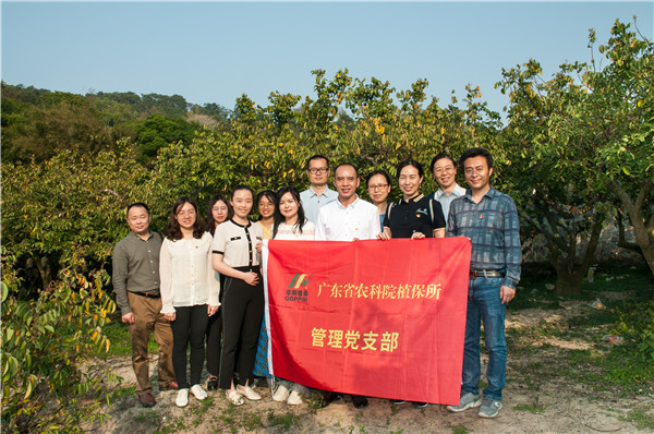 图片说明