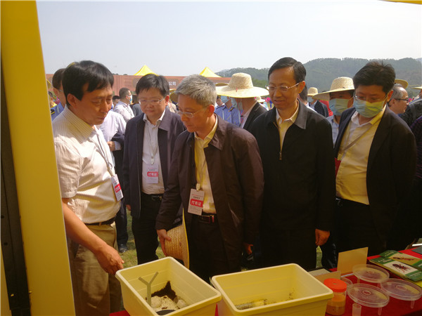 图片说明