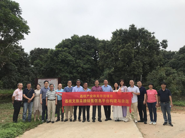 图片说明