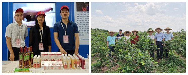 图片说明