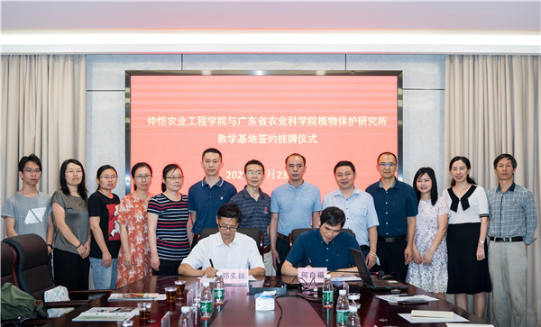 图片说明