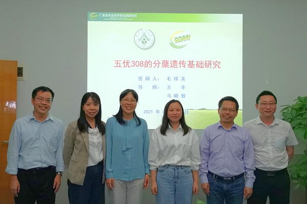 图片说明