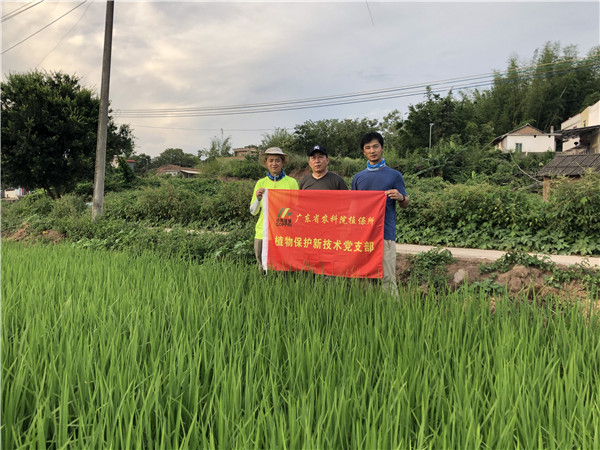 图片说明