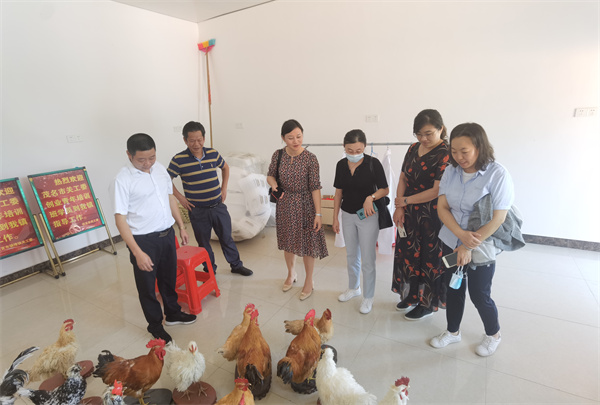 图片说明