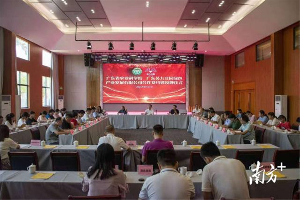 图片说明