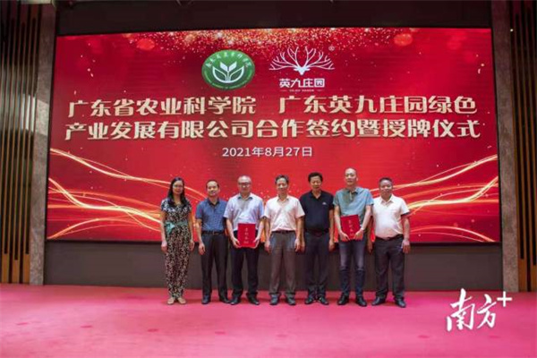 图片说明