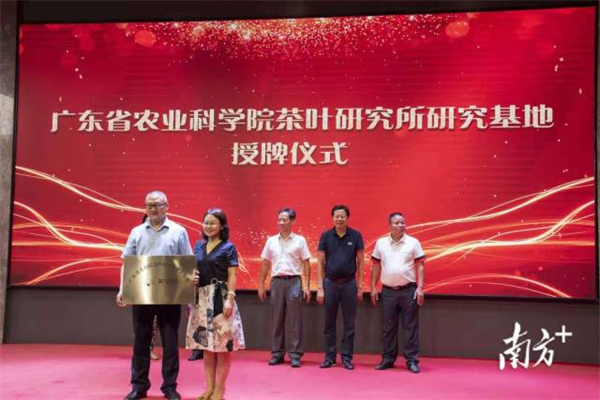 图片说明