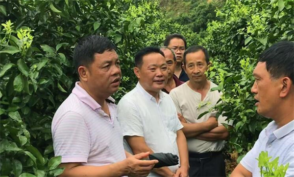 图片说明