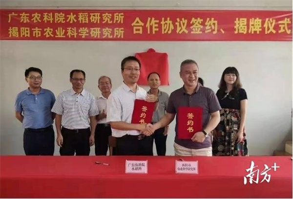 图片说明
