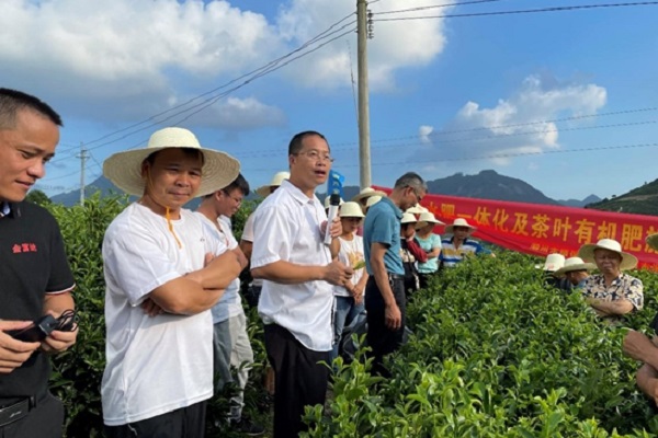图片说明