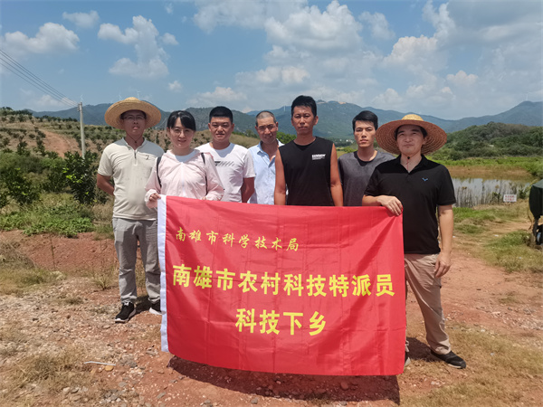 图片说明