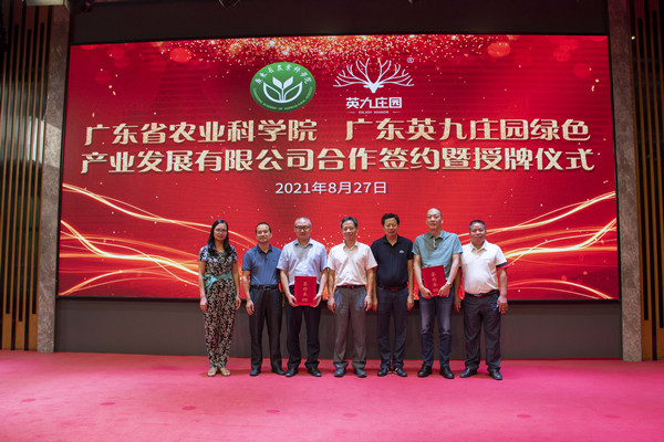 图片说明