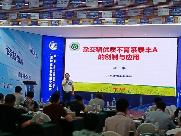 图片说明