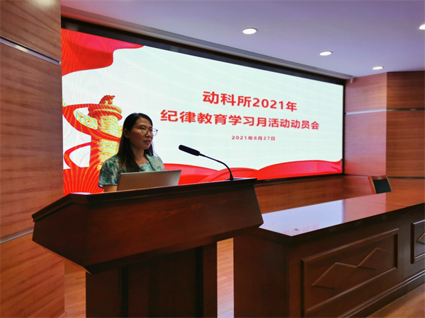 图片说明
