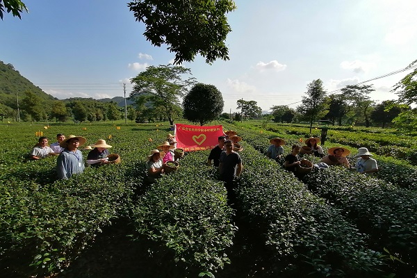 图片说明
