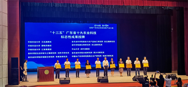 图片说明