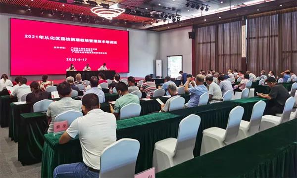 图片说明