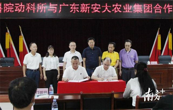 图片说明