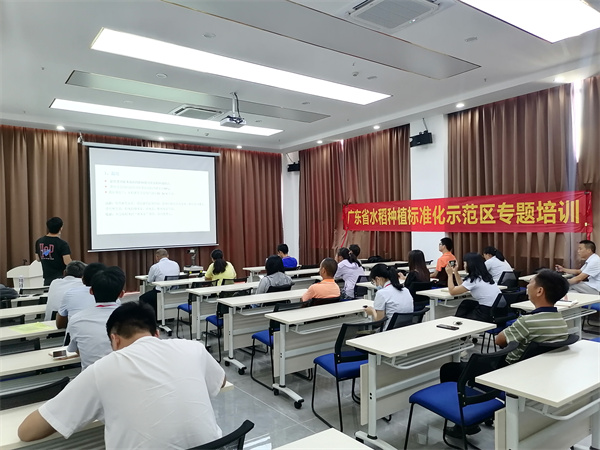图片说明